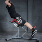 roman chair model image